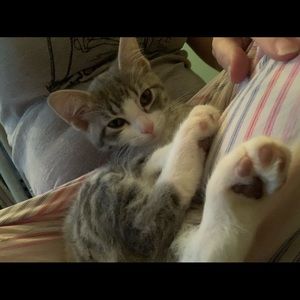 Meet your Posher, Shawn marie